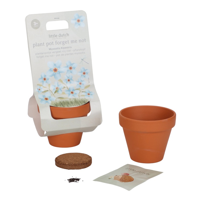 Plant Pot Forget Me Not
