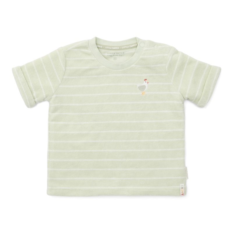 Terry T-shirt short sleeves green Stripes