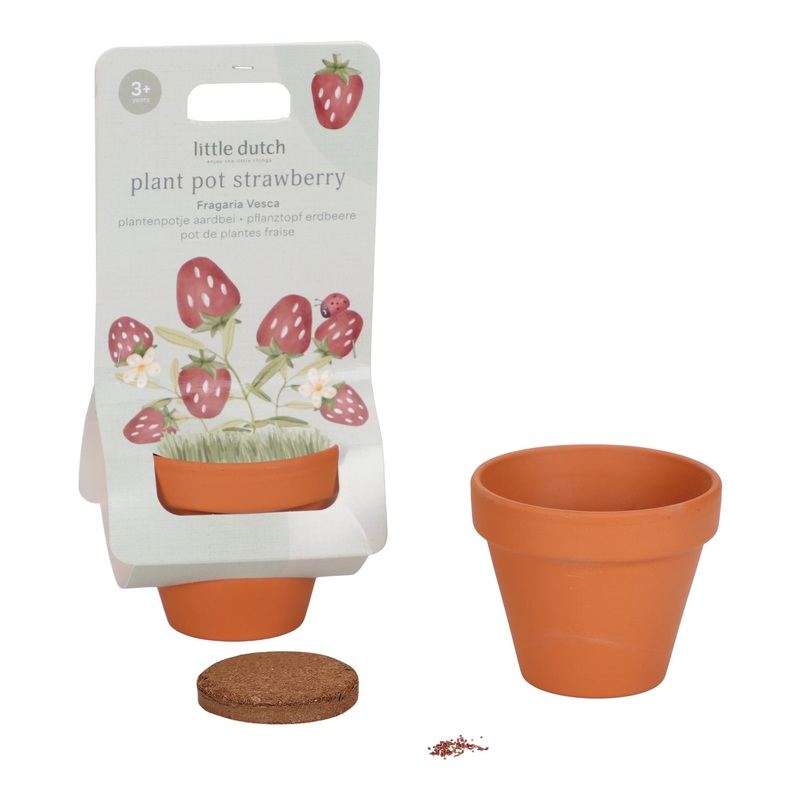 Plant Pot Strawberry