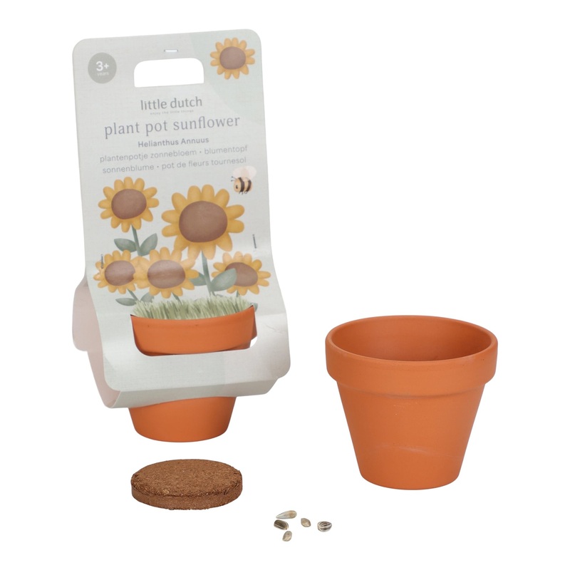 Plant Pot Sunflower