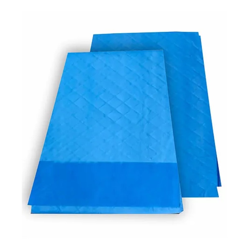 Meechu Extra Absorbent Disposable Underpads Sheets Pack of 10 – Blue