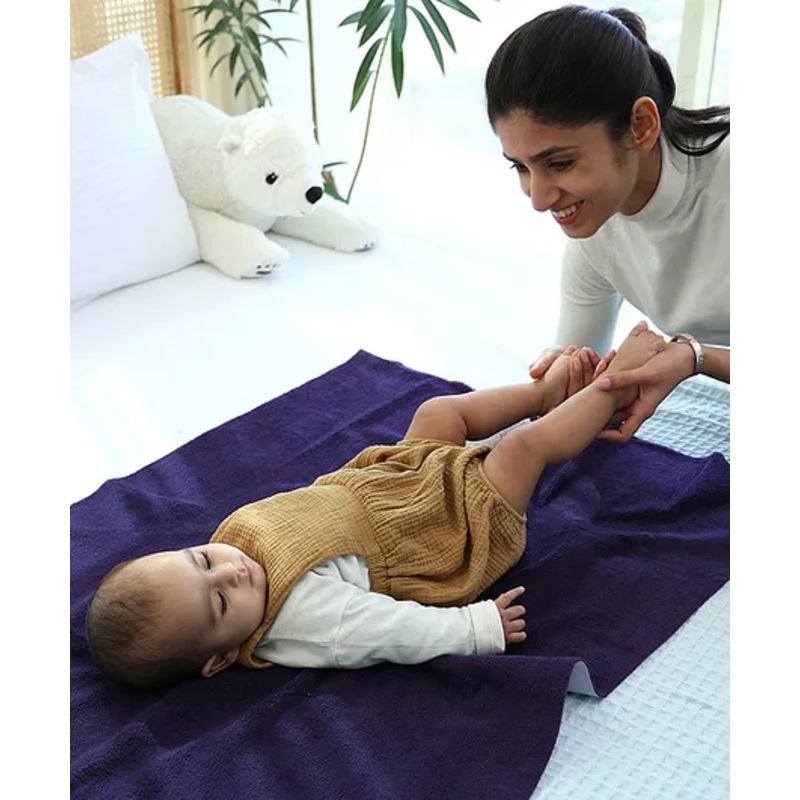 TIDY SLEEP Waterproof Baby Bed Protector Dry Sheet For New Born Babies- Babies Plum (Medium)