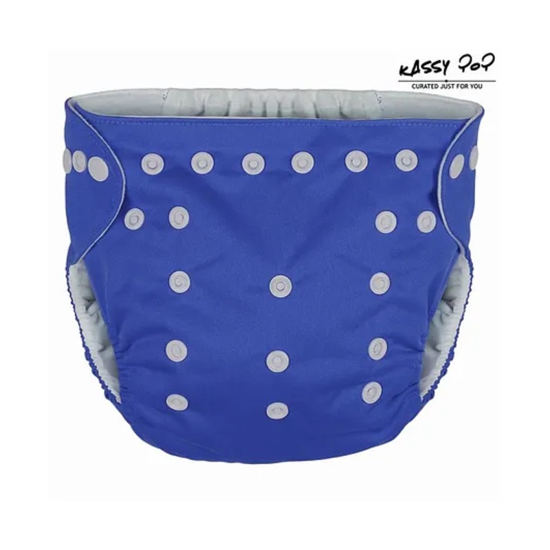 Kassy Pop Reusable Diaper Cover With Cotton Absorbing Pad – Blue