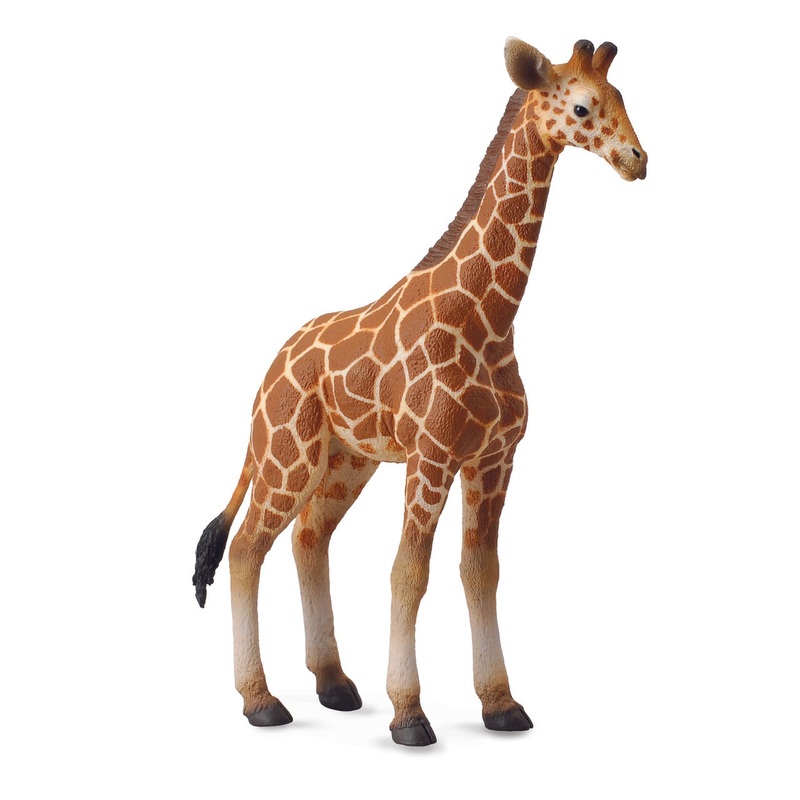 CollectA L Reticulated Giraffe Calf