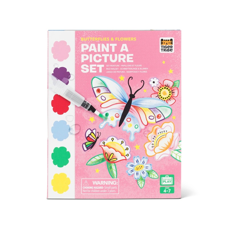 Paint a Picture Set – Butterflies and Flowers