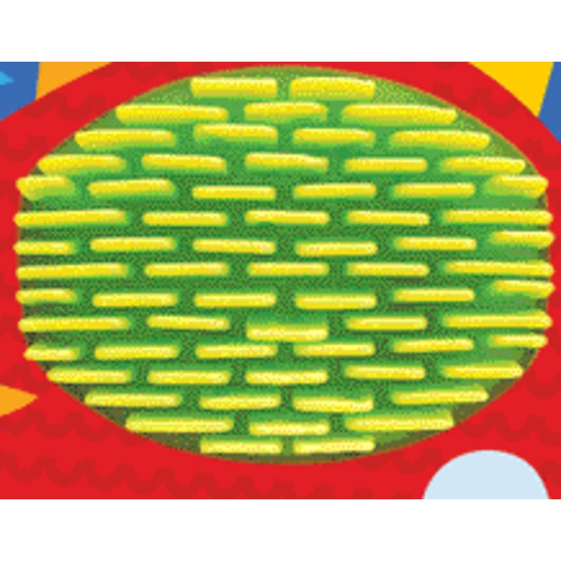 Never Touch a Dragon