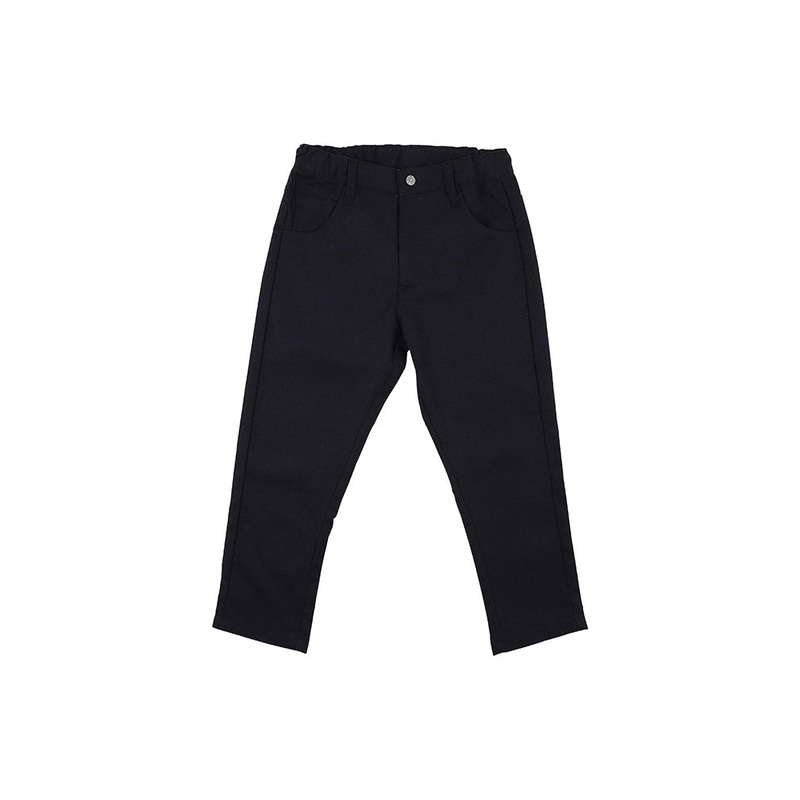 ALBERT NAVY PANTS