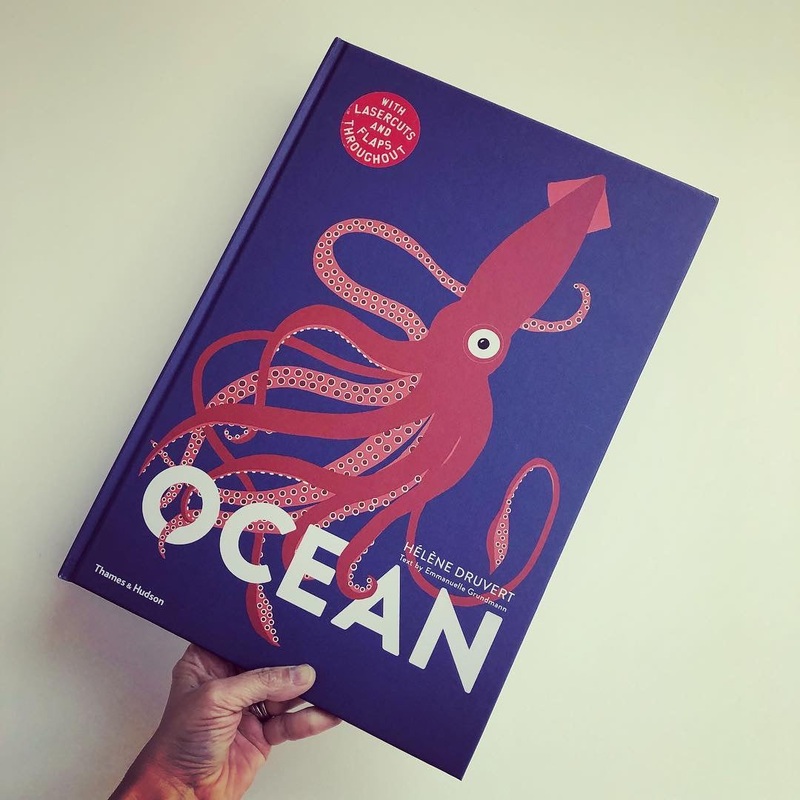 Ocean Book (Large Size)