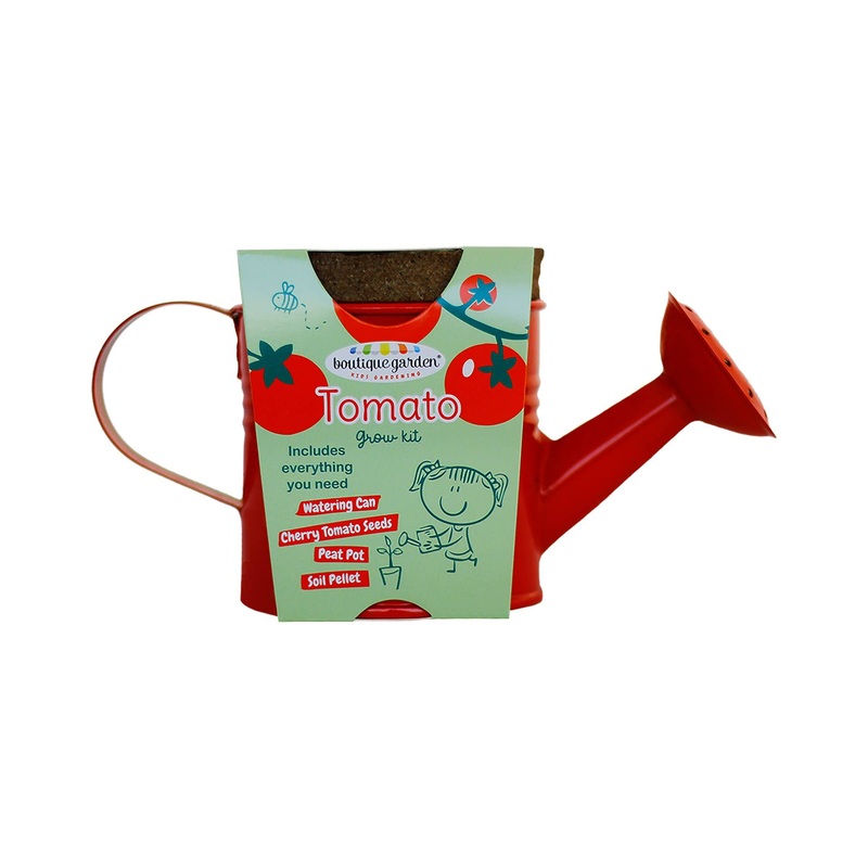 Watering Can Grow Kit Tomato
