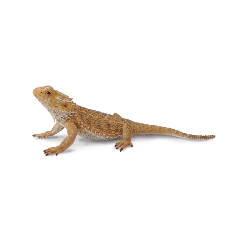 CollectA L Bearded Dragon Lizard