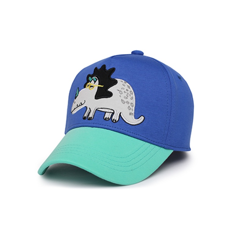 Toddler/kids Ball Cap – Dino M (2-4y)