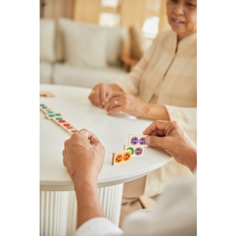 Plan Toys Mood Dominos