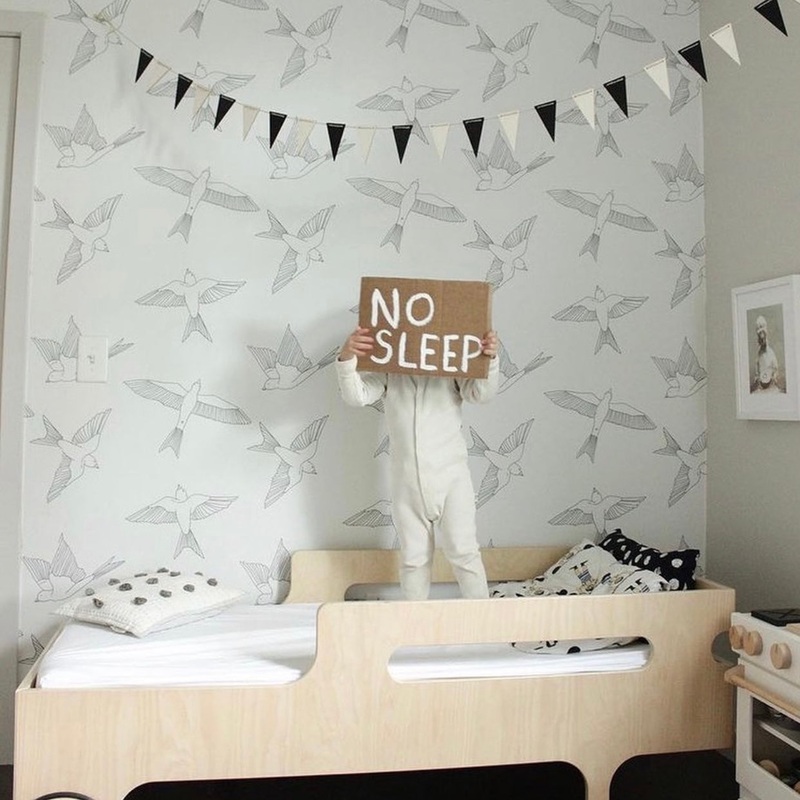 Robin Wallpaper Sample 1 foot by 1 foot