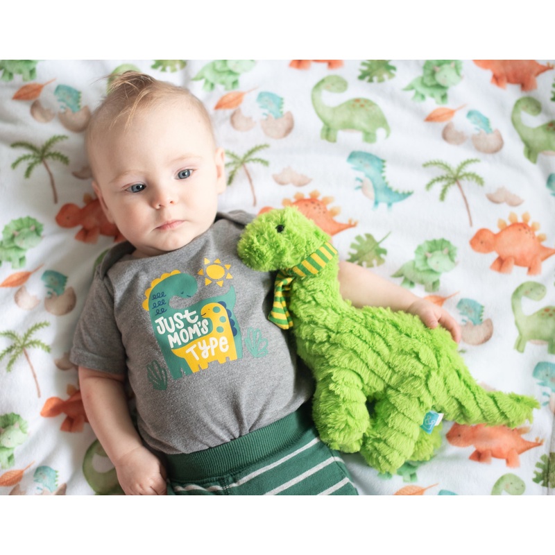 Premium Baby & Toddler Minky Blanket – Dinosaurs