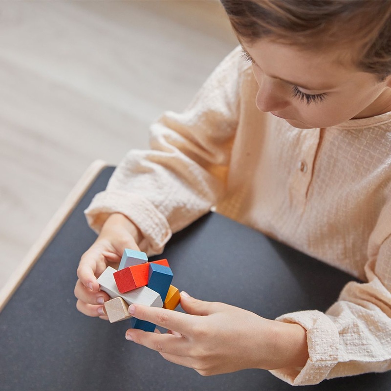 Plan Toys Rectangular Puzzle – PlanMini