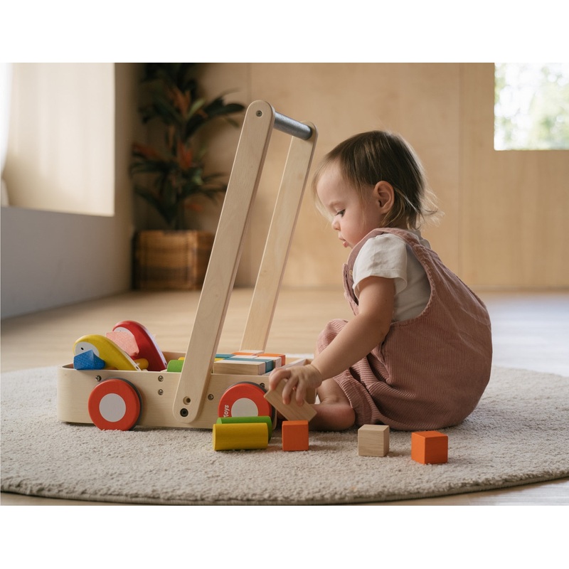 Plan Toys Bird Walker
