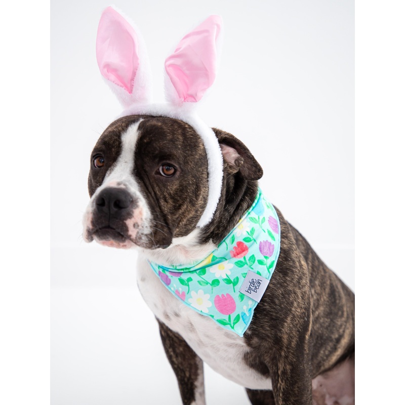 Blossom Pet Bandana XS/SM
