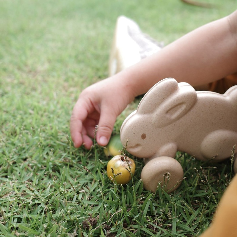 Plan Toys Push Along Bunny – White