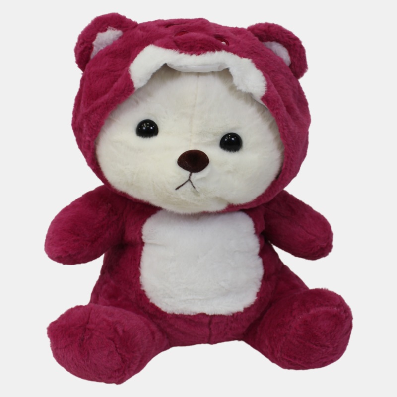 Teddy Bear Dressed as Lotso