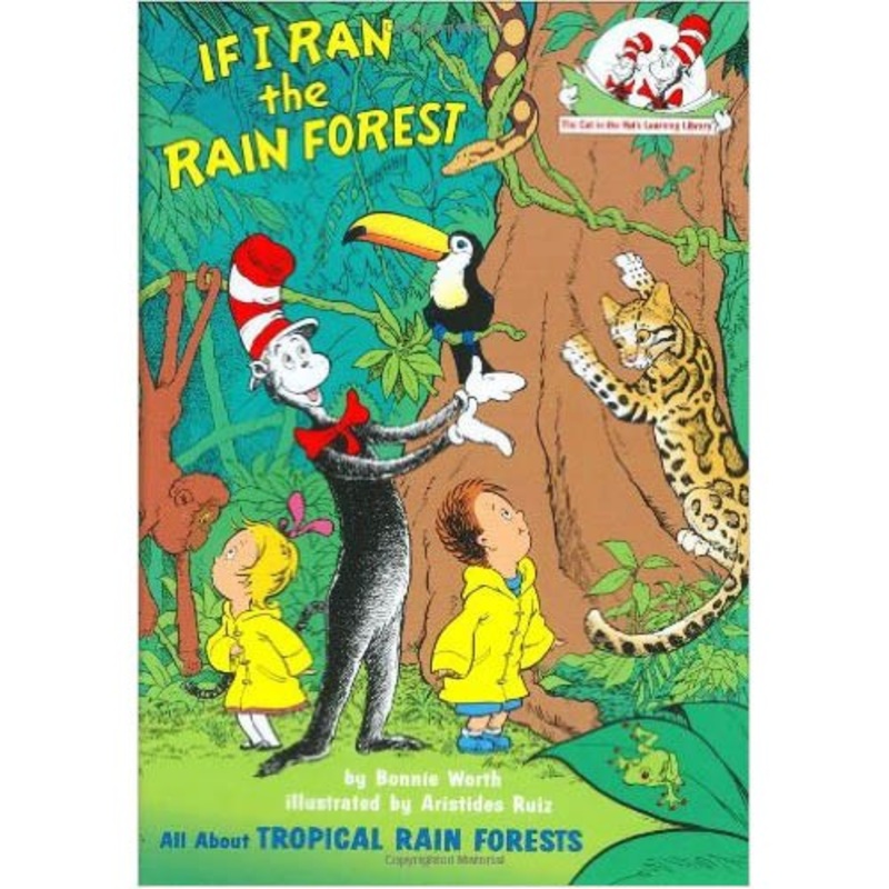 If I Ran The Rain Forest