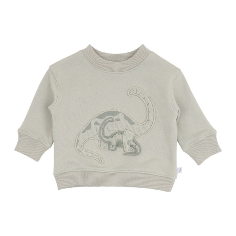 Bebe Isaac 3D Dinosaur Sweatshirt
