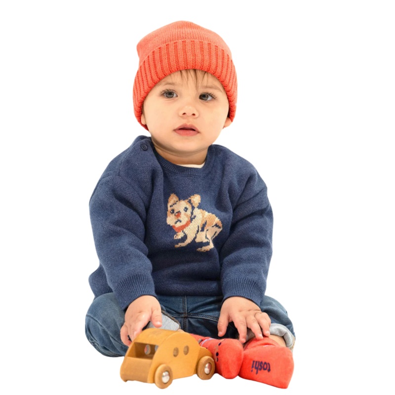 Toshi Organic Pullover Storytime – Frenchie