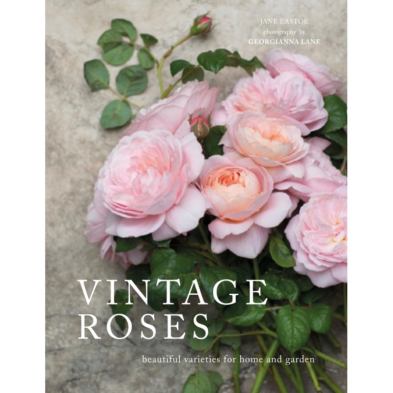 Book – Vintage Roses