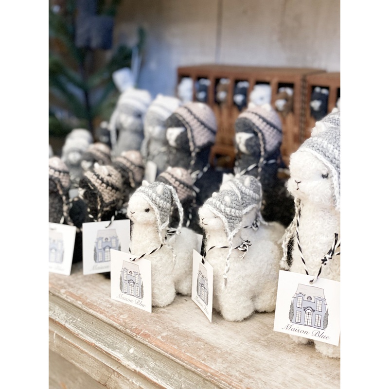 Alpaca with Beanie – Ivory