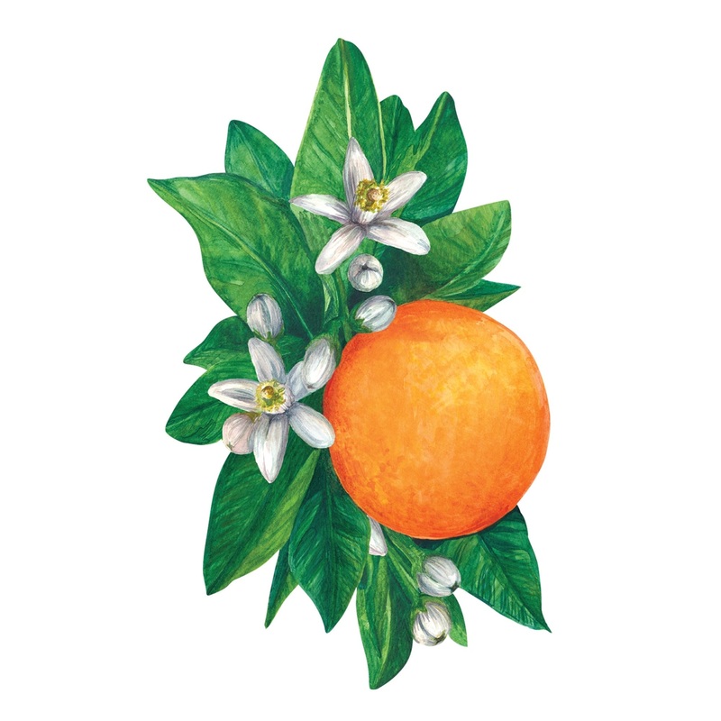 Table Accents – Orange Blossom (pack of 12)