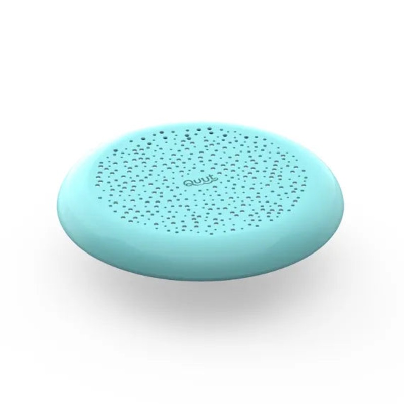 Flying Disc + Sand Sifter