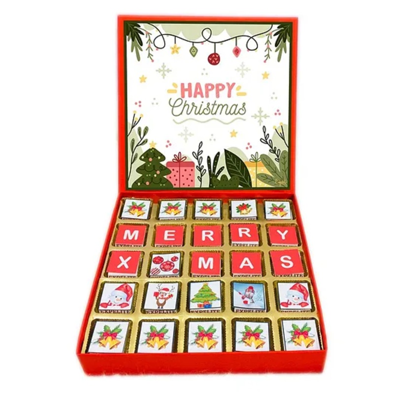 Expelite Unique Christmas Chocolate Gift Box – 400 gm