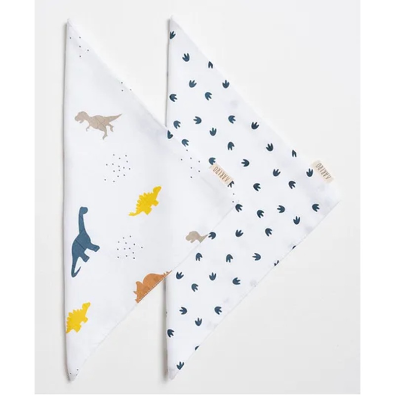 Aariro Organic Cotton Muslin Washcloth Little dino  Set of 2