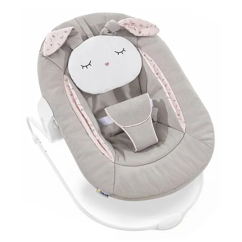 Hauck Alpha Bouncer 2in1 Rocker & Bouncer