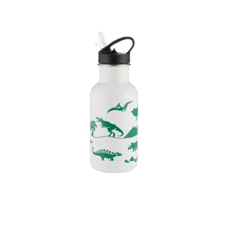 550ml Dinosaur Colour Changing Drinks Bottle