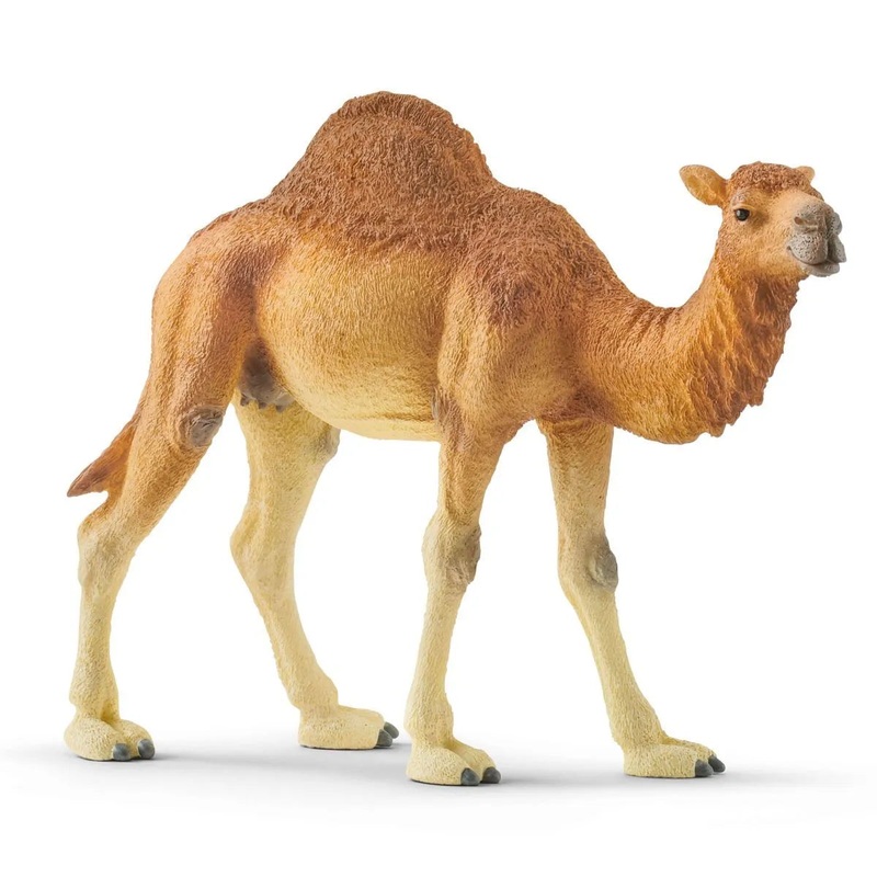 Schleich 14832 Dromedary