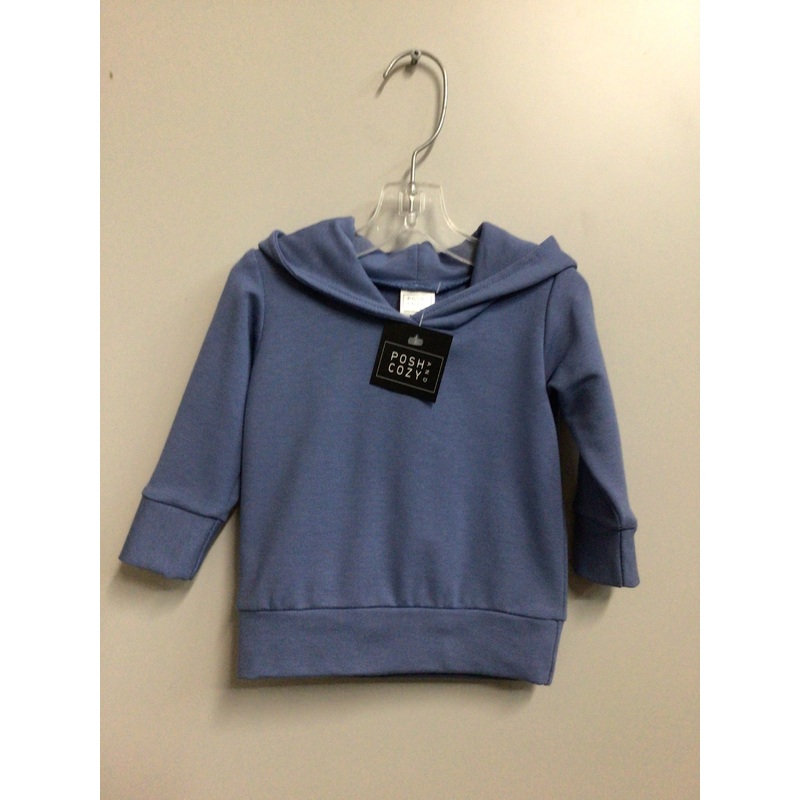 Posh & Cozy FINAL SALE Hoodie Wedgewood