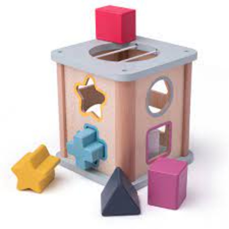 BigJigs Shape Sorter