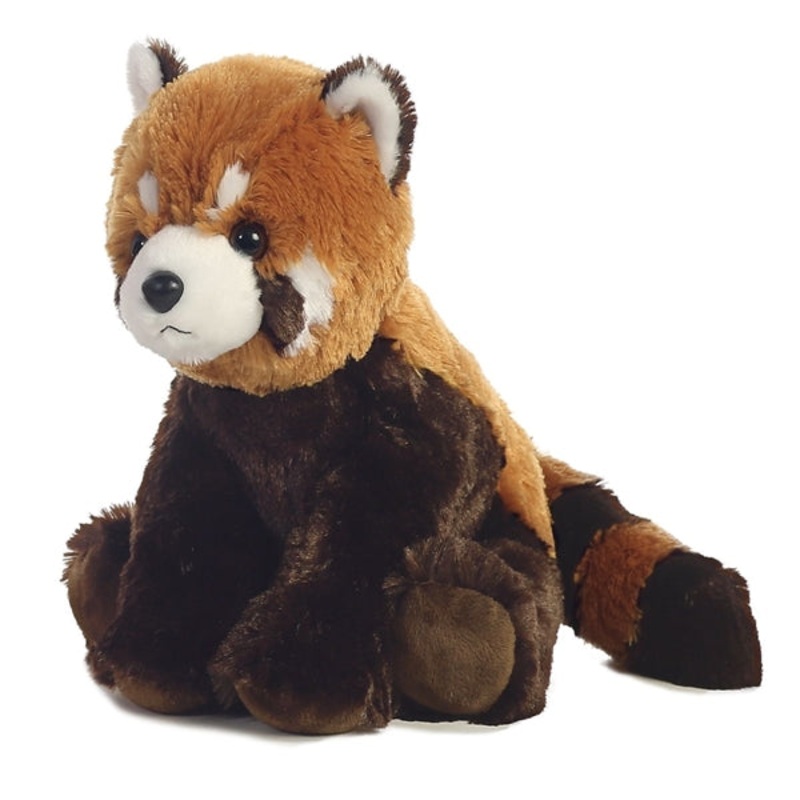 Aurora – Red Panda
