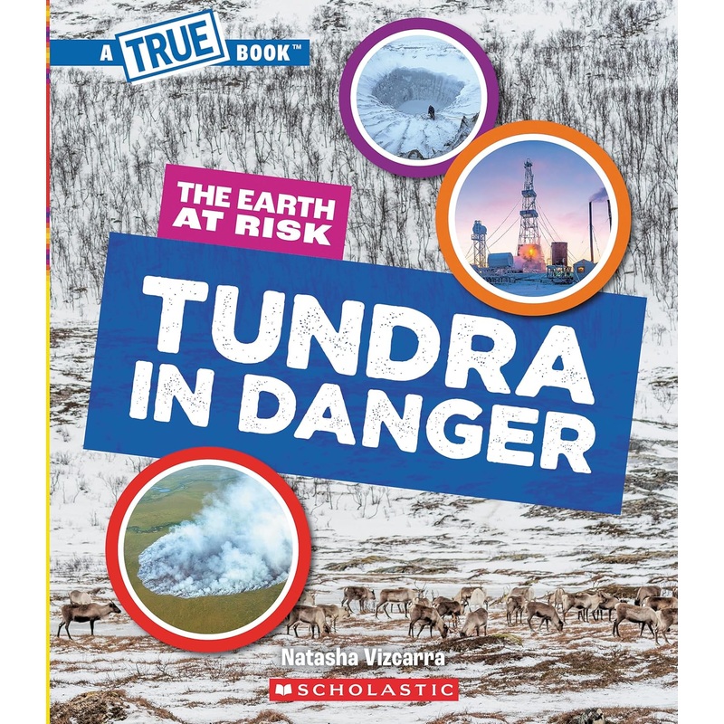 Tundra in Danger (A True Book: The Earth at Risk)