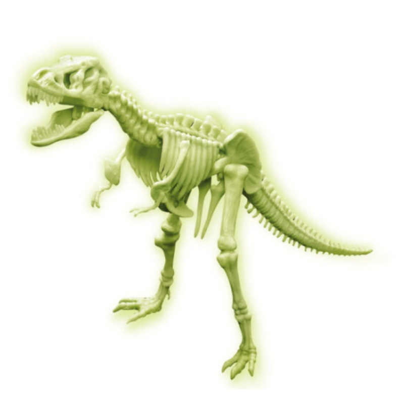 4M 3420 Glow T-Rex Skeleton *