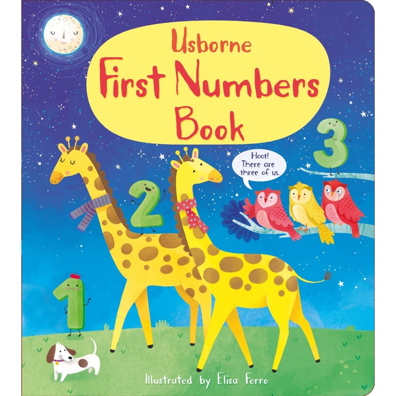 First Numbers Book