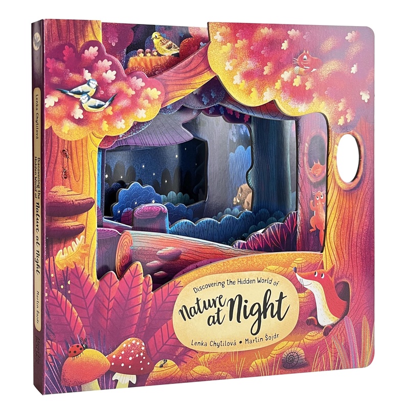 Discovering the Hidden World of Nature at Night Board Book
