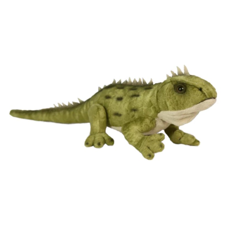 Antics | Tuatara w Sound